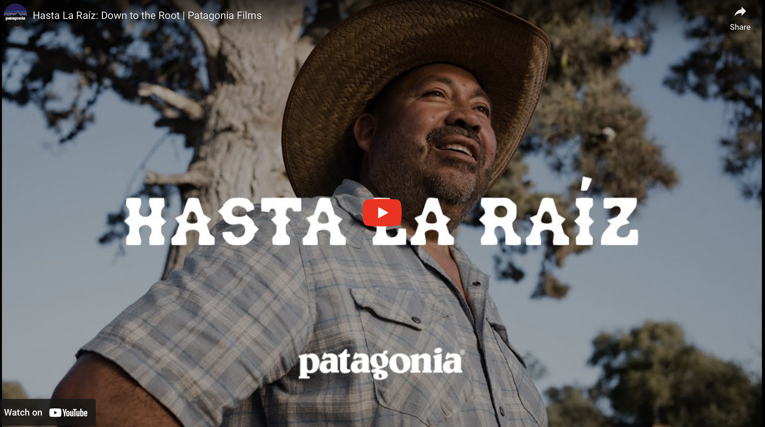 javier zamora Patagonia ad